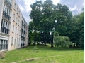 Image du bien UBI475715702